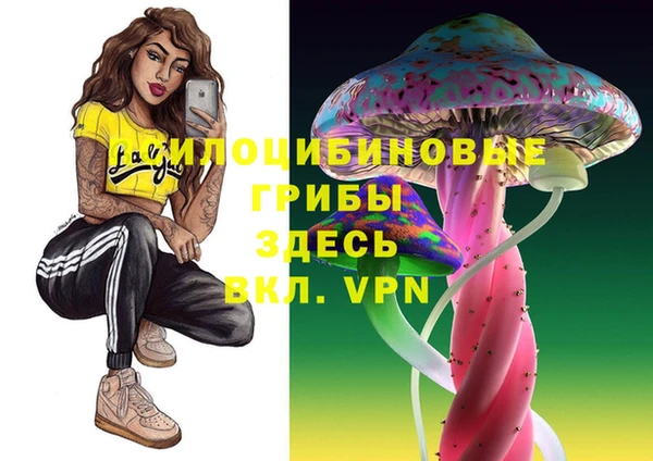 бутират Алзамай
