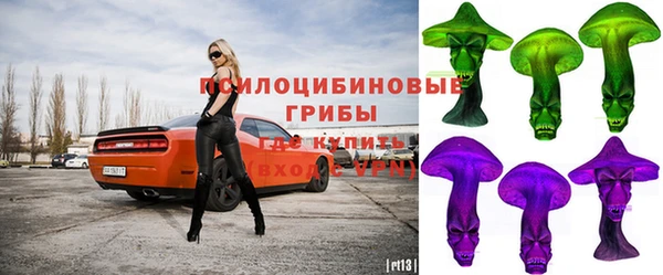 прущая мука Алексин