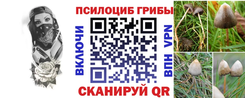Галлюциногенные грибы Magic Shrooms  shop состав  Дедовск  kraken как зайти 